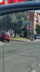 Dos personas desconocidas varean un olivo