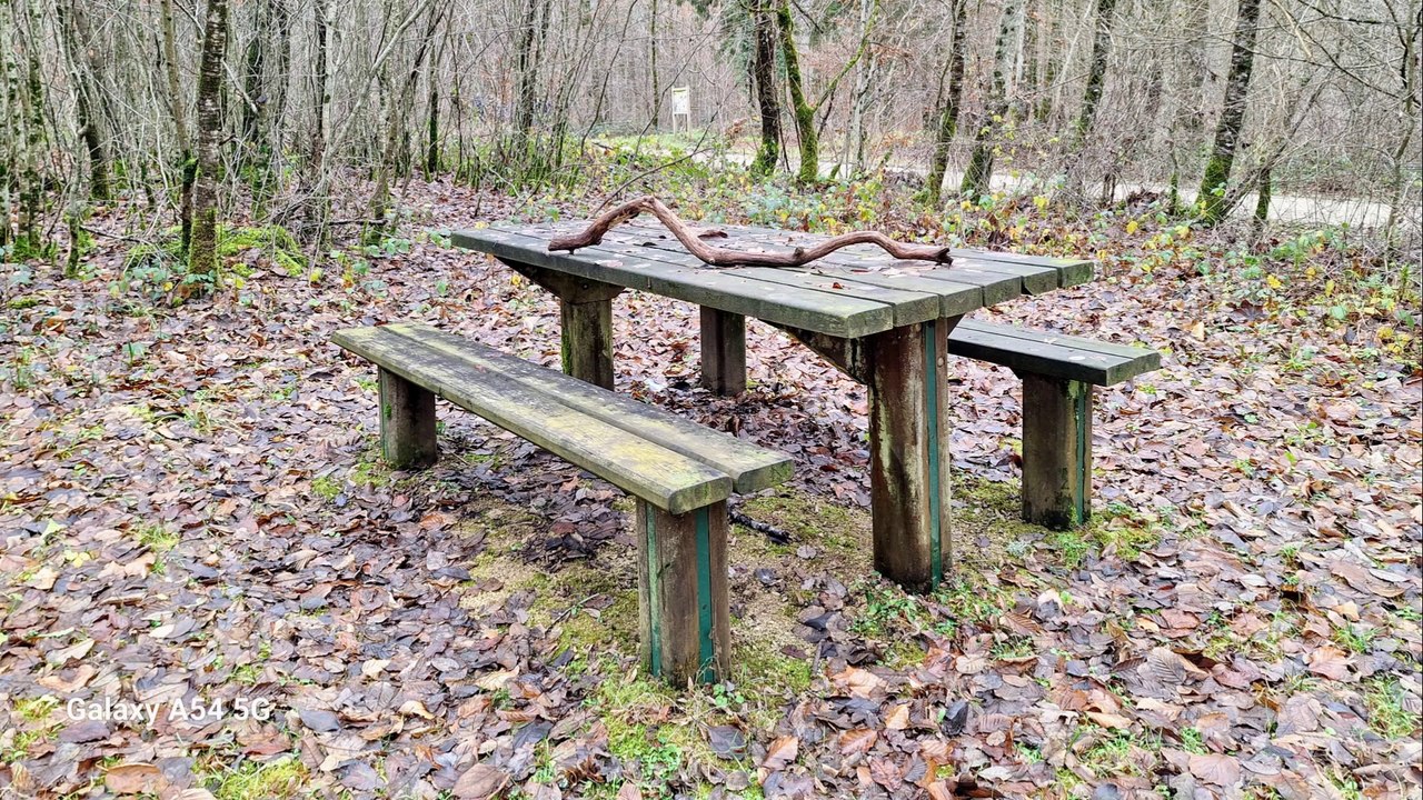 Marche du jeudi 14 décembre 2023 – Forêt de Haut-Juré