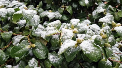 Second bout of snow in Worthing on January 8 2024