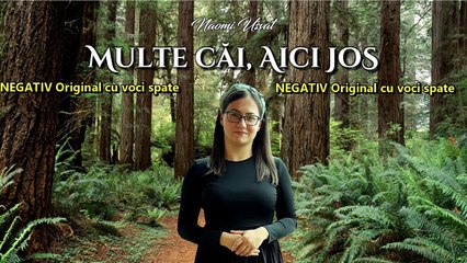 NEGATIV Original - Naomi Usvat "Multe căi, aici jos" [NOU 2024]