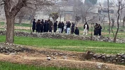 مقتل خمسة شرطيين باكستانيين مكلفين حماية فريق تلقيح ضد شلل الأطفال في انفجار قنبلة