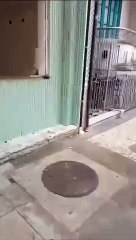 Moradores de bairro nobre de Salvador denunciam vandalismo ; veja vídeo