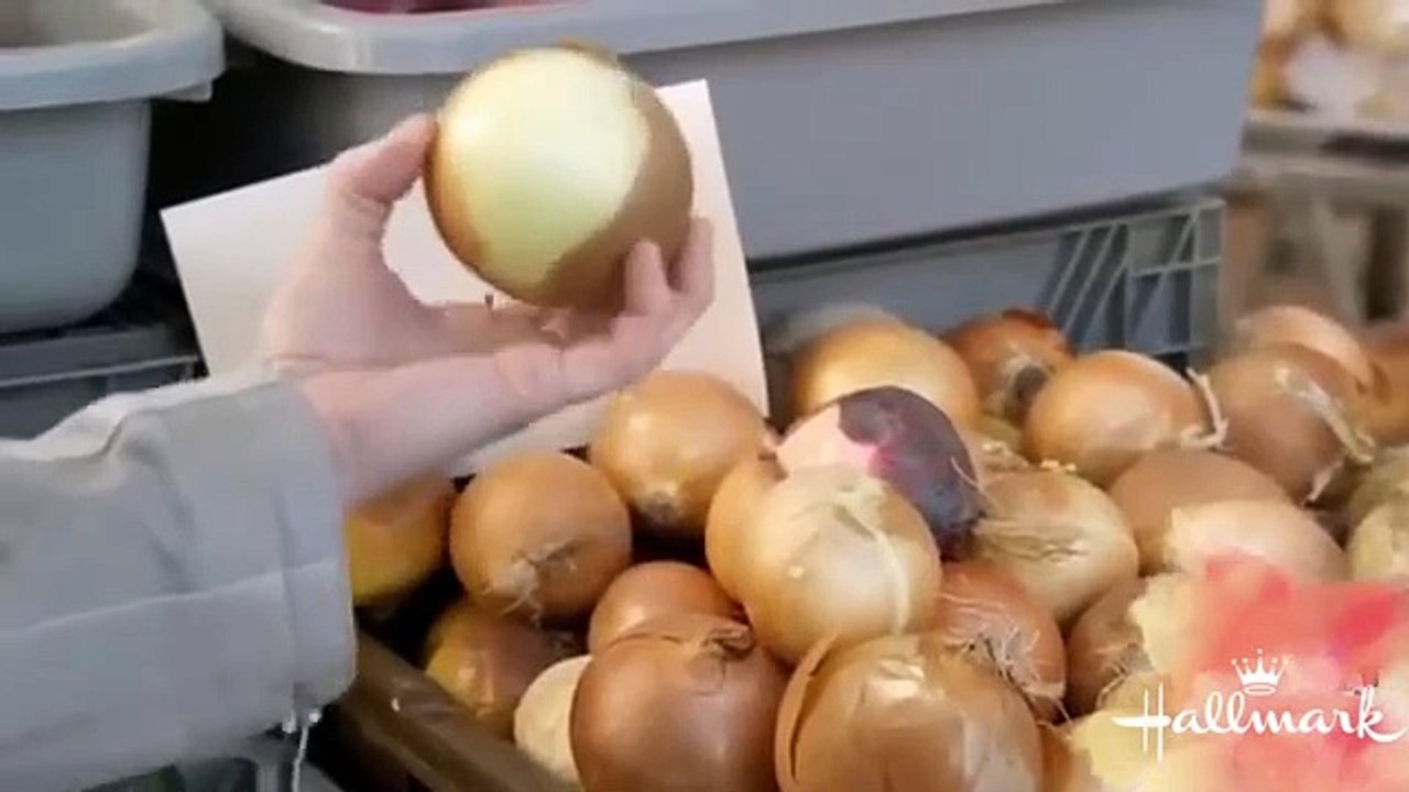 The Sauce of Love 2024 Best Hallmark Romance Movies 2024 Hallmark