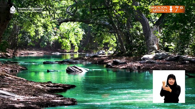 Técnicas de la imagen #02, 7º, Educación Artística, Lección Educativa