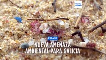 Organizaciones ecologistas demandan más medios ante la llegada masiva de 'pellets' a Galicia