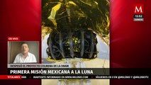 ¿Qué es el 'Proyecto Colmena', la primera misión lunar mexicana?