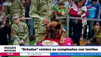 Arkadas cumplió un año y así festejó con otros lomitos