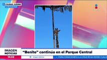 La jirafa Benito continúa en el Parque Central en Ciudad Juárez