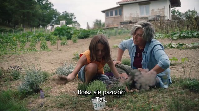 20 000 espèces d'abeilles Bande-annonce (PL)