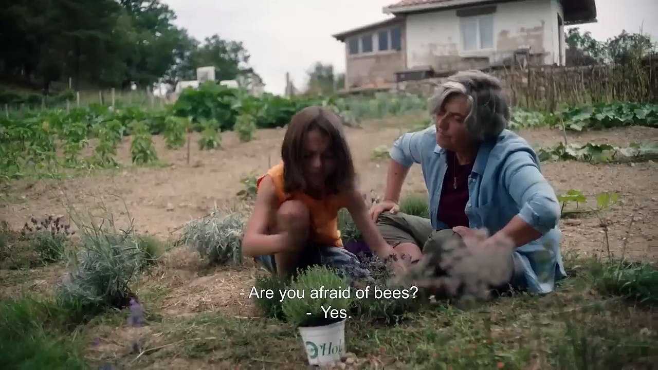 20 000 espèces d'abeilles Bande-annonce (ES)