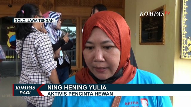 Pria Aniaya Kucing Peliharaan di Solo Dipolisikan