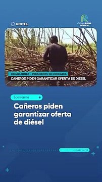 Cañeros piden garantizar oferta de diésel