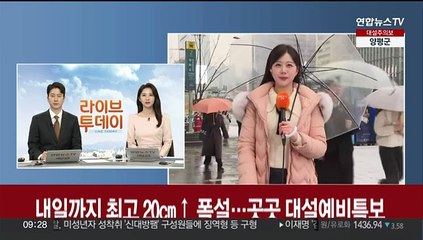 [날씨] 내일까지 최고 20㎝↑ 폭설…곳곳 대설예비특보