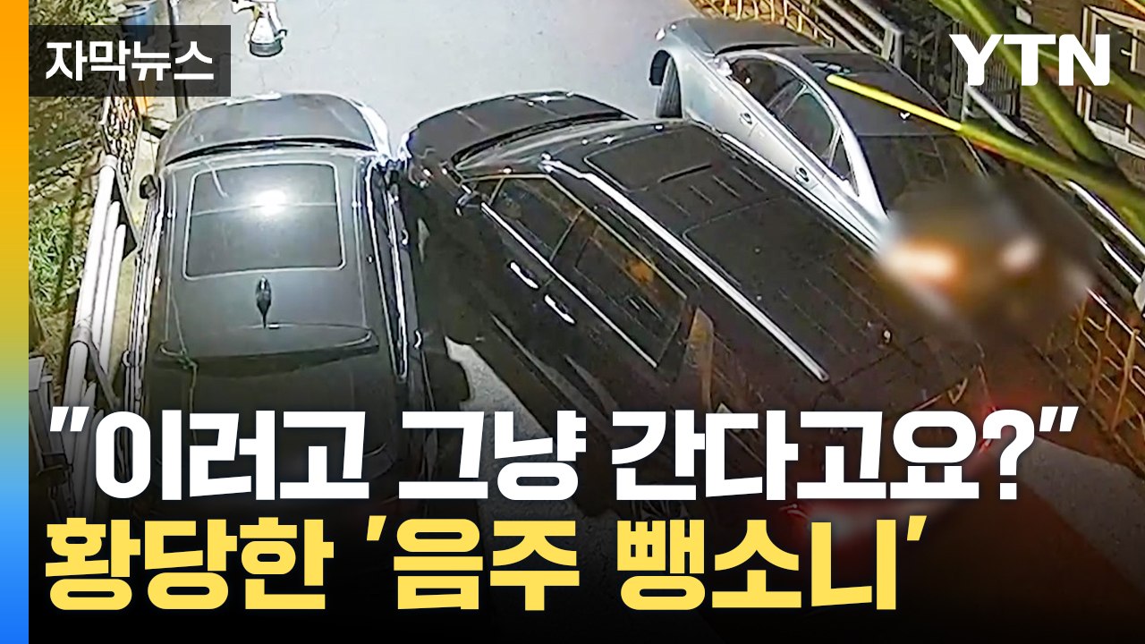 [자막뉴스] "와... 그냥 간다고?" 뺑소니범 지켜본 경찰의 '신속 대처' / YTN