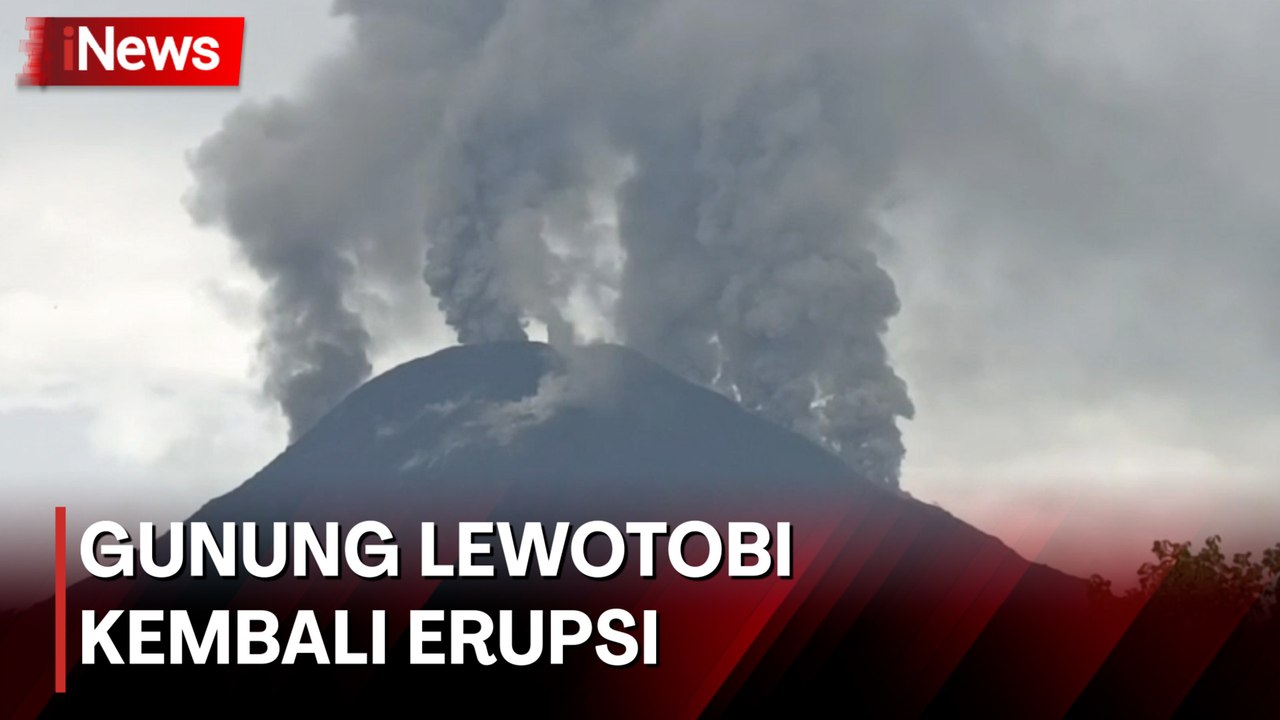 Gunung Lewotobi Erupsi Lagi Pagi Ini, Semburkan Abu Vulkanik Setinggi 1.500 Meter