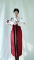 Chinese traditional clothes, hanfu. (60)