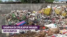 Sampah di TPS Kapuk Muara 5 Hari Tak Diangkut, Warga Keluhkan Bau Busuk
