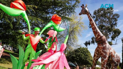 Les Smith's best Daily Advertiser photos for 2023