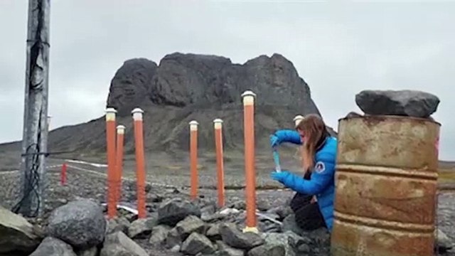 Scientists launch probe into microplastics in Antarctic