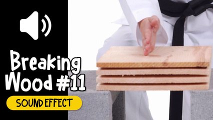 Breaking Wood #11 Sound Effect