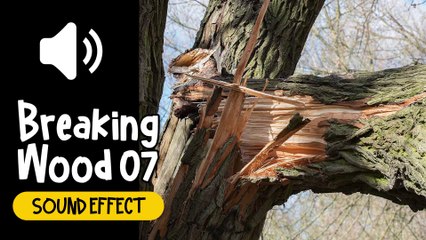 Breaking Wood #07 Sound Effect