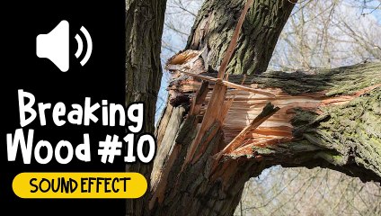 Breaking Wood #10 Sound Effect