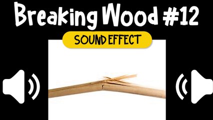 Breaking Wood #12 Sound Effect