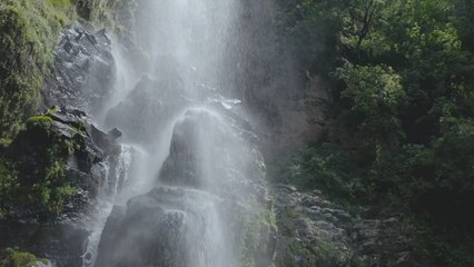 nature relaxing water fall