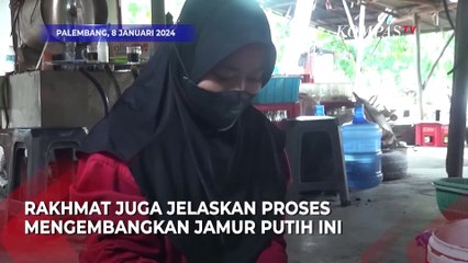 Menjadikan Peluang Bisnis dari Budidaya Jamur Tiram