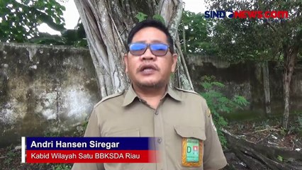 Habitatnya Terendam Banjir, 2 Gajah Liar Masuk Pemukiman Warga