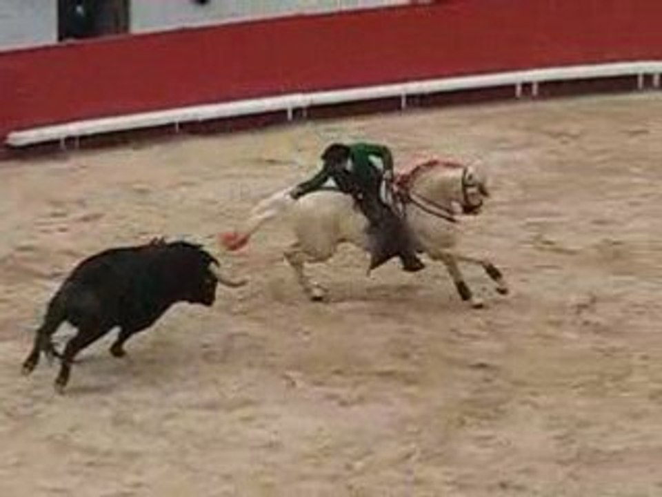 Corrida2008 138