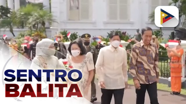 Indonesian Pres. Joko Widodo, nakatakdang dumating sa bansa ngayong Martes