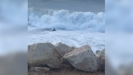 « Parfois il faut pas trop se poser de question » : deux boxeurs sauvent un homme de la noyade à Marseille