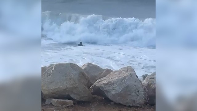 « Parfois il faut pas trop se poser de question » : deux boxeurs sauvent un homme de la noyade à Marseille