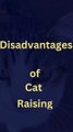 Disadvantages of Cat  Raising #mix #raising_cats #cat_breeding