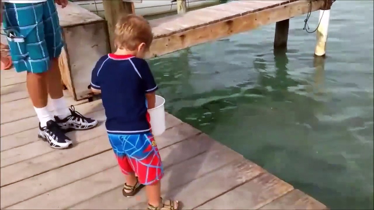 Cet enfant pensait nourrir des poissons mais attendez la suite