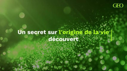 Un secret vieux de 1,75 milliard d'années sur l'origine de la vie découvert