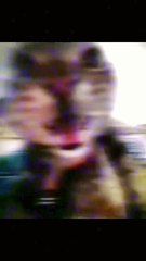 Cat Phonk Vibes 🎶