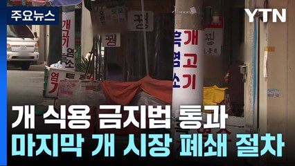 개 식용 금지법 통과...'마지막 개 시장' 생계 대책 절실 / YTN