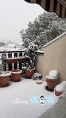 Tombe la neige, Annecy, 09.01.24