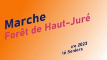 Marche du jeudi 7 décembre 2023 – Forêt de Haut-Juré