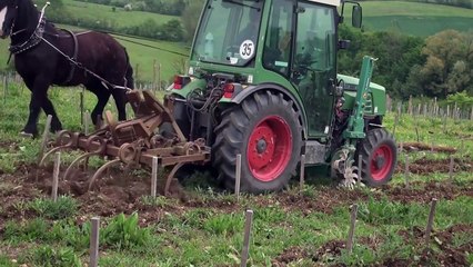 Download Video: Prendre soin de la Terre Bande-annonce VF