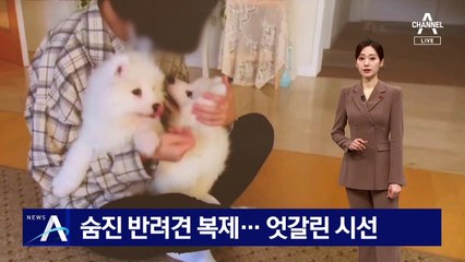 ‘숨진 반려견 복제’ 두고 엇갈린 시선