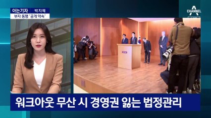 [아는기자]윤세영 부자 동행 ‘공개 약속’…매각 대신 담보, 왜?