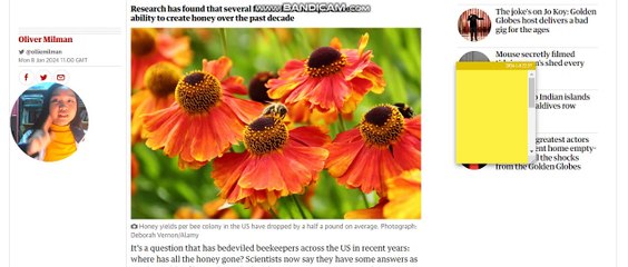 The Decline of Honey Yields Day 6 Part 2 Newsreading