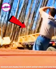 Total Idiots at Work