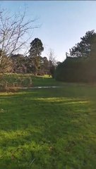 Air ambulance lands in Bedford Park