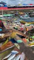 Pescadores se arriscam subindo ponte quebrada na Feira de São Joaquim