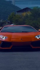 Andrew Tate about his busy Schedule