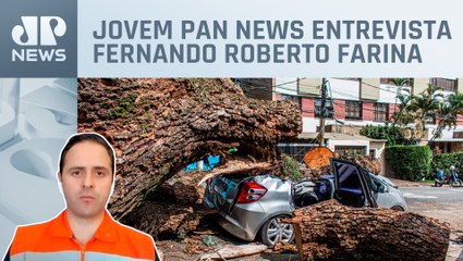 Porta-voz da Defesa Civil de SP fala sobre queda de árvores e falta de energia após chuvas